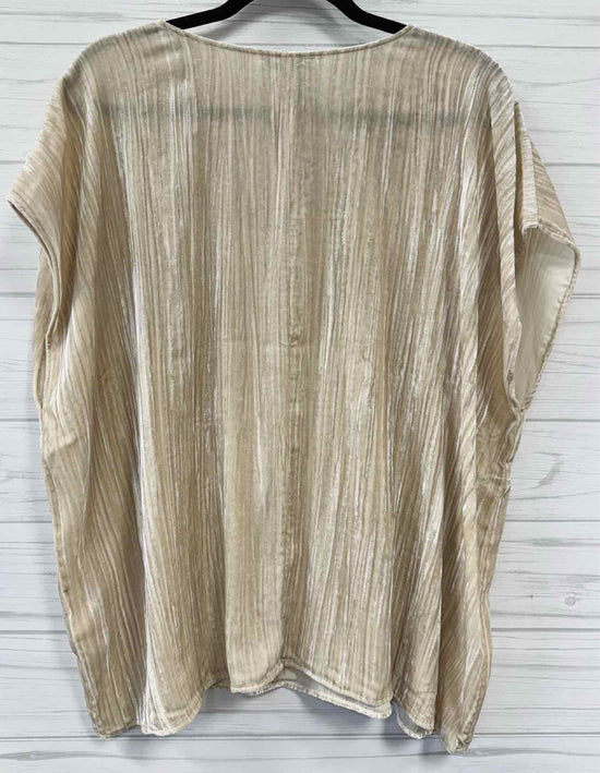 Size 3X EILEEN FISHER Shirt