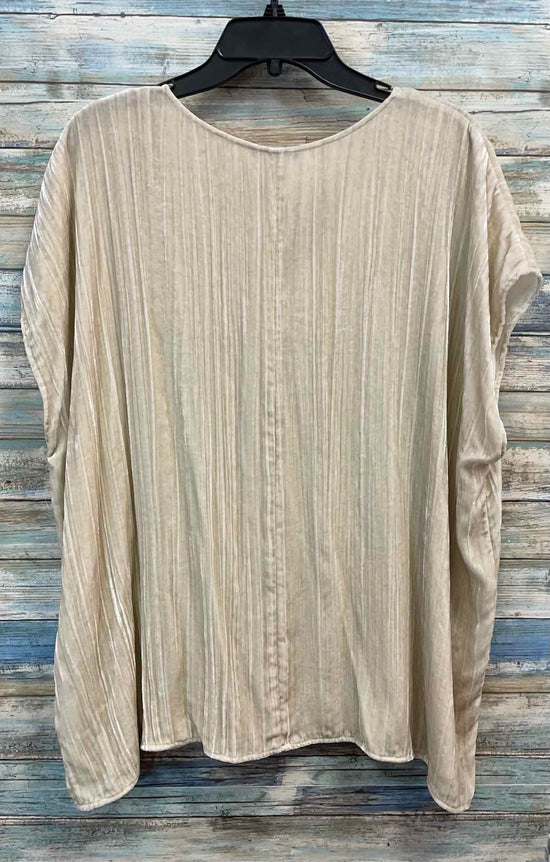 Size 2X EILEEN FISHER Shirt